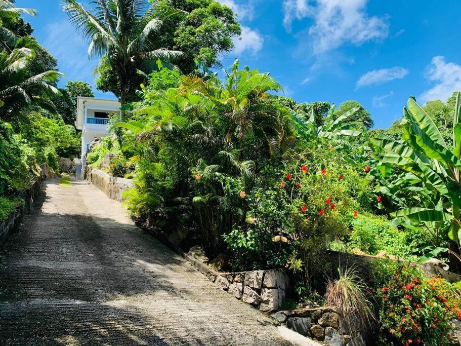 Crystal Apartments Seychelles Seaview Ground Floor Glacis  Exterior photo